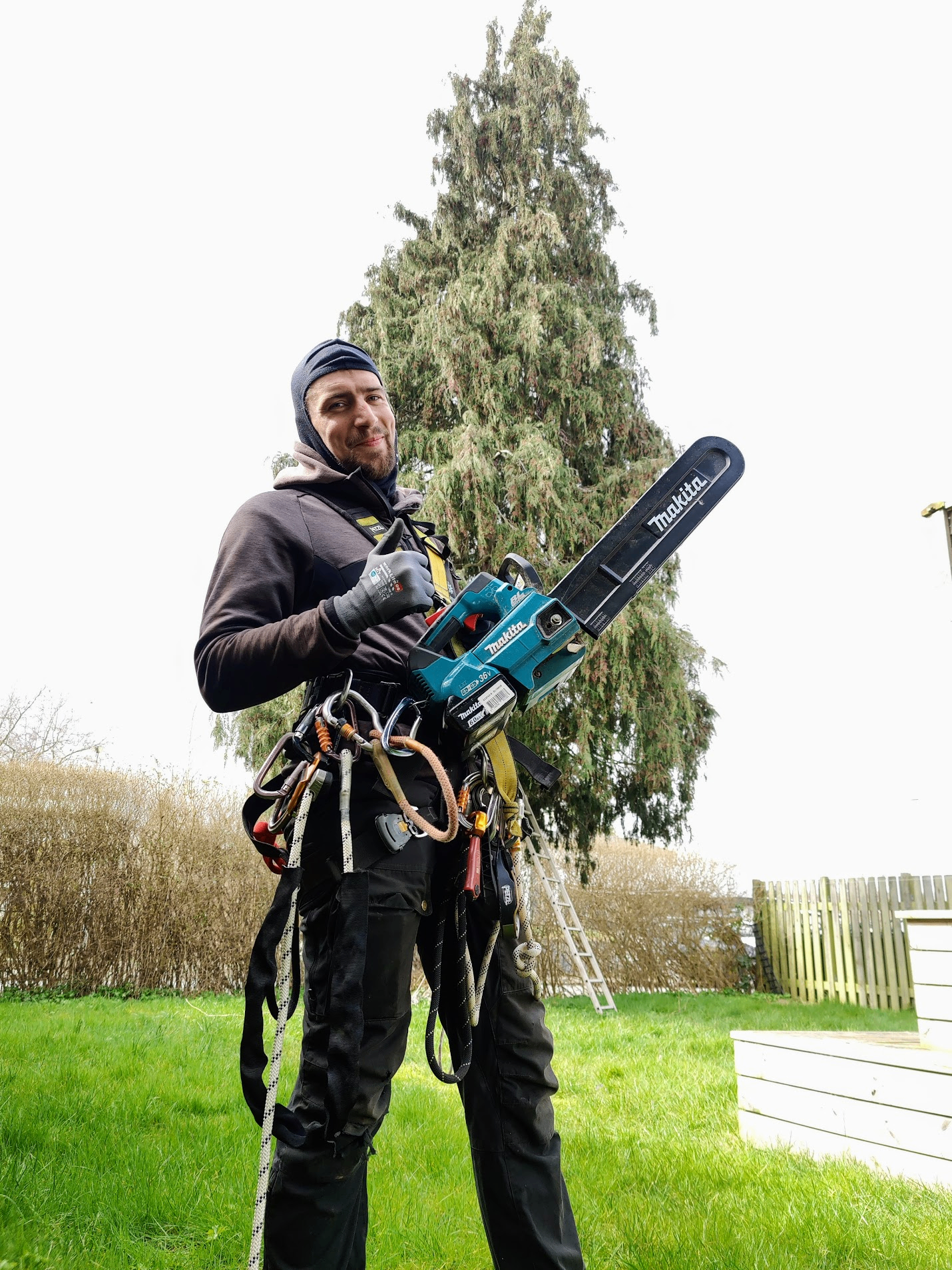Tarik fra Metic Specialfældning med Makita motorsav og klatreudstyr foran et stort grantræ